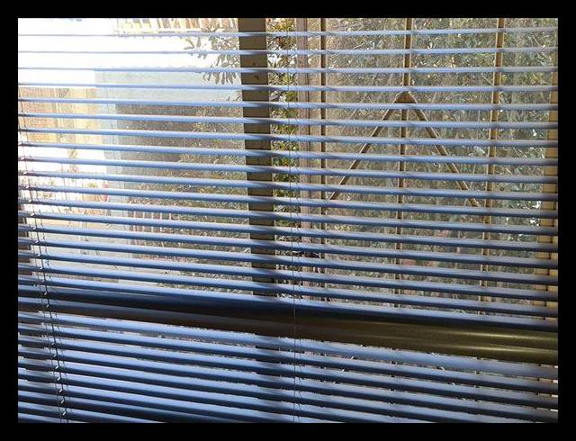 2 BEDROOM TOWNHOUSE FOR SALE IN BIRCHLEIGH